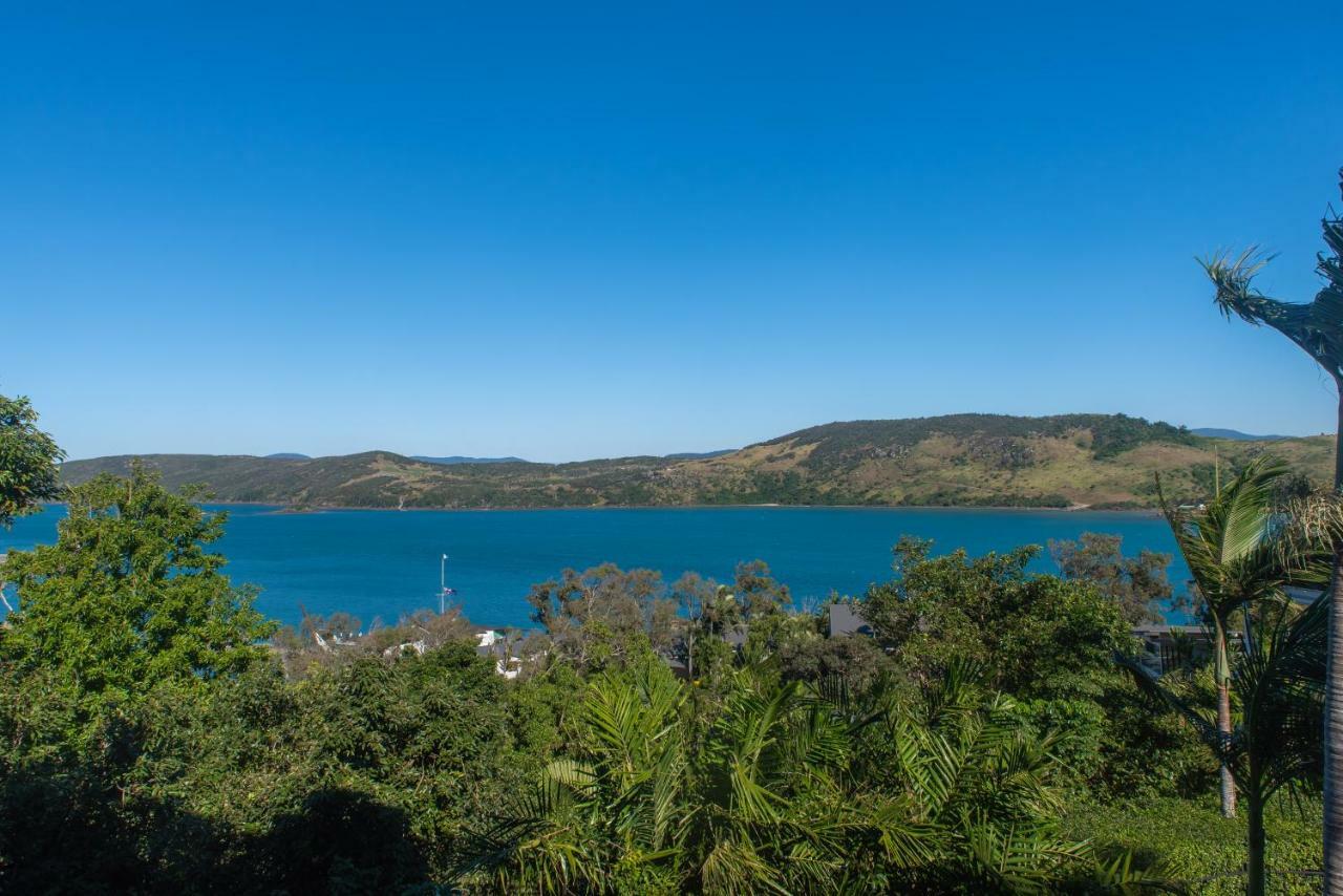 Oasis 22 - Hamilton Island Appartamento Esterno foto